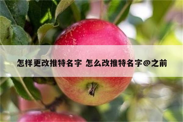 怎样更改推特名字 怎么改推特名字@之前