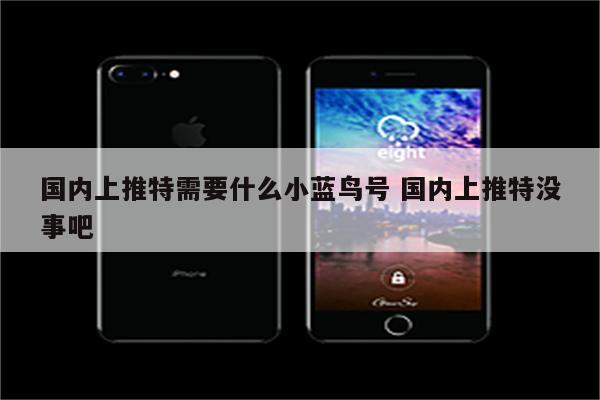 国内上推特需要什么小蓝鸟号 国内上推特没事吧