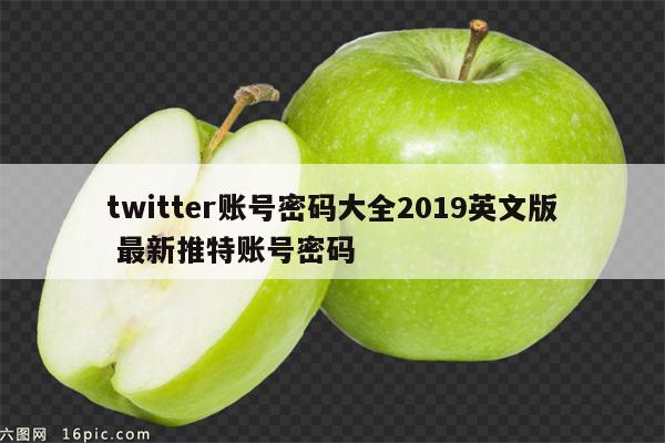 twitter账号密码大全2019英文版 最新推特账号密码