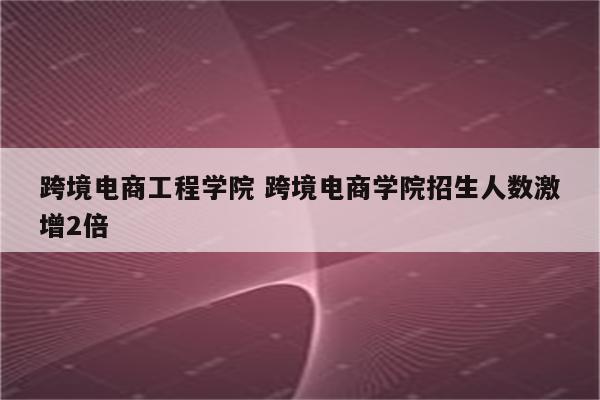 跨境电商工程学院 跨境电商学院招生人数激增2倍