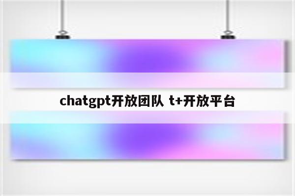 chatgpt开放团队 t+开放平台