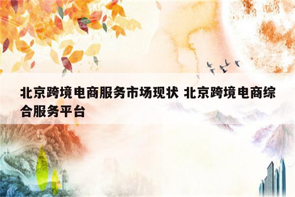 北京跨境电商服务市场现状 北京跨境电商综合服务平台