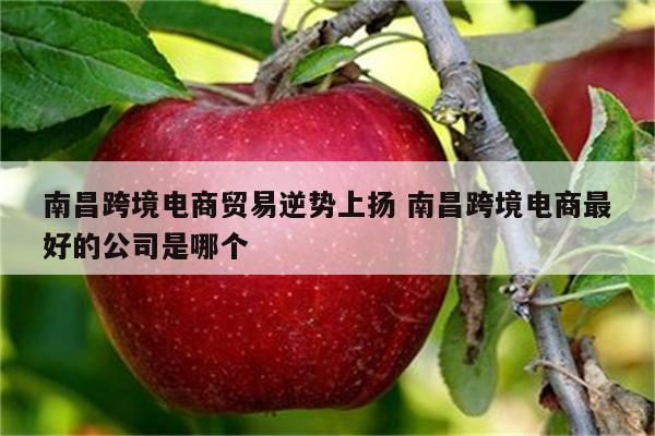 南昌跨境电商贸易逆势上扬 南昌跨境电商最好的公司是哪个