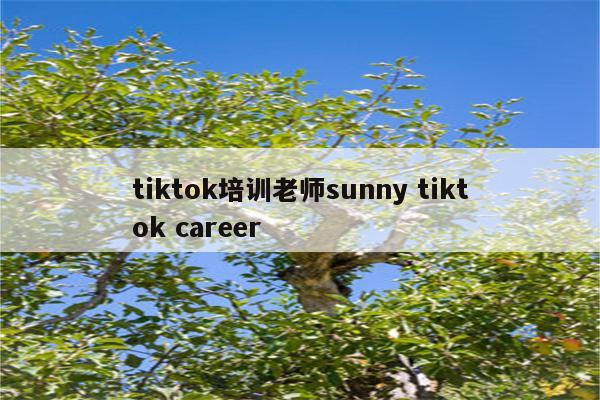 tiktok培训老师sunny tiktok career