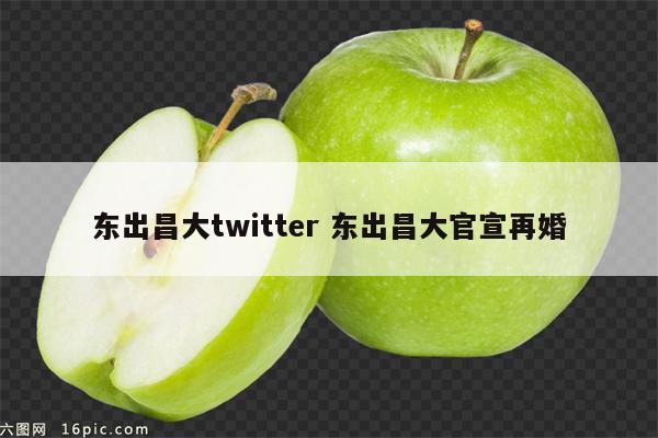 东出昌大twitter 东出昌大官宣再婚