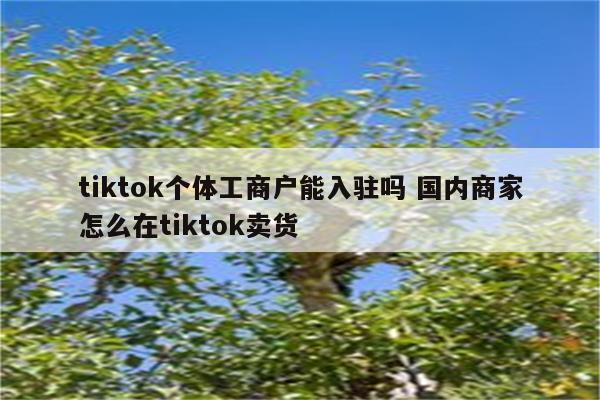 tiktok个体工商户能入驻吗 国内商家怎么在tiktok卖货