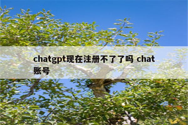 chatgpt现在注册不了了吗 chat账号
