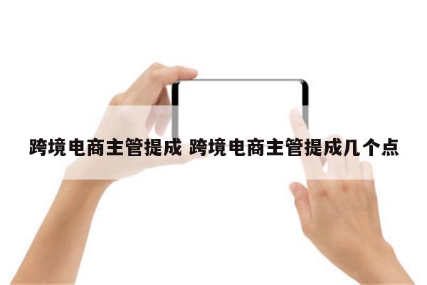 跨境电商主管提成 跨境电商主管提成几个点