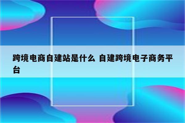 跨境电商自建站是什么 自建跨境电子商务平台