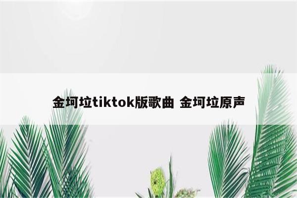 金坷垃tiktok版歌曲 金坷垃原声