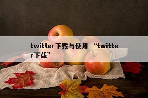 twitter下载与使用 “twitter下载”