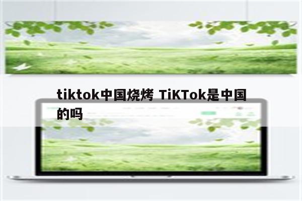 tiktok中国烧烤 TiKTok是中国的吗