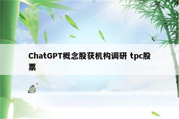 ChatGPT概念股获机构调研 tpc股票