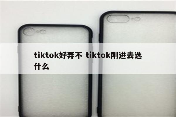 tiktok好弄不 tiktok刚进去选什么