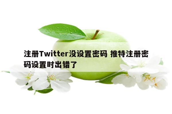 注册Twitter没设置密码 推特注册密码设置时出错了