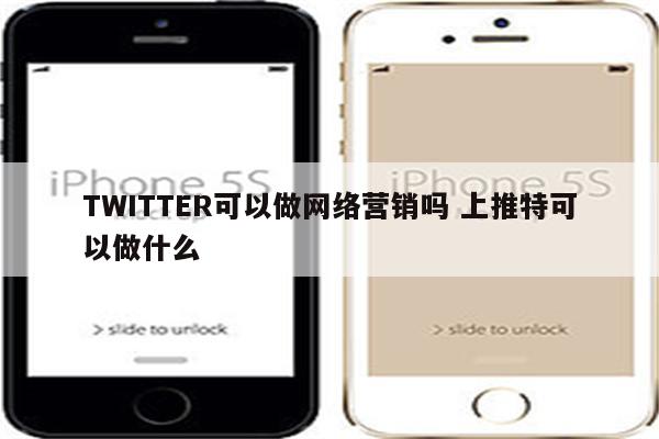 TWITTER可以做网络营销吗 上推特可以做什么