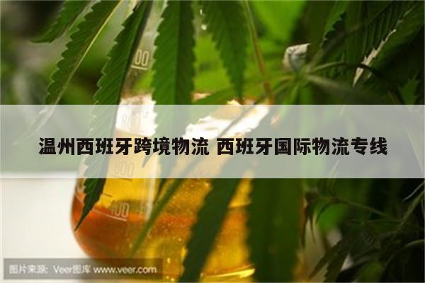 温州西班牙跨境物流 西班牙国际物流专线