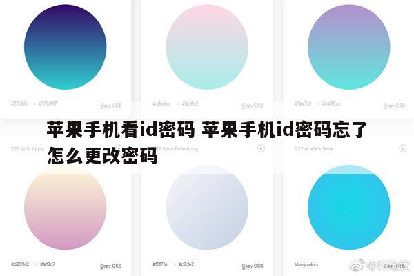 苹果手机看id密码 苹果手机id密码忘了怎么更改密码
