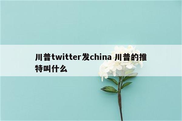 川普twitter发china 川普的推特叫什么