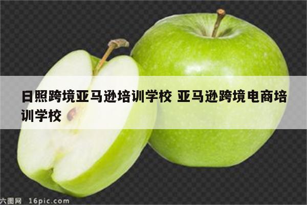 日照跨境亚马逊培训学校 亚马逊跨境电商培训学校
