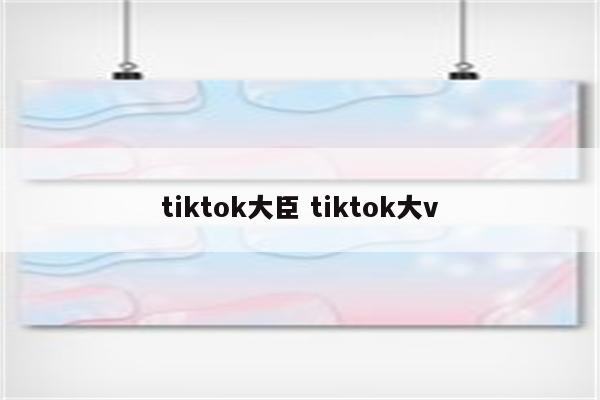 tiktok大臣 tiktok大v