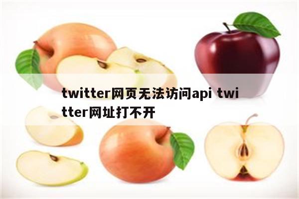 twitter网页无法访问api twitter网址打不开