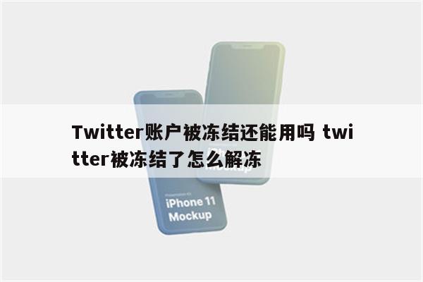 Twitter账户被冻结还能用吗 twitter被冻结了怎么解冻