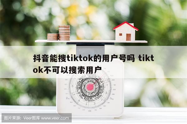 抖音能搜tiktok的用户号吗 tiktok不可以搜索用户