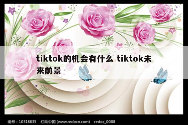 tiktok的机会有什么 tiktok未来前景