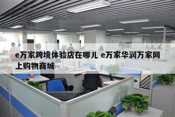e万家跨境体验店在哪儿 e万家华润万家网上购物商城
