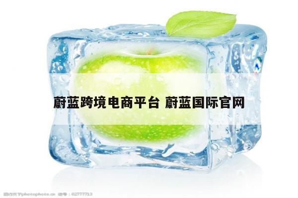 蔚蓝跨境电商平台 蔚蓝国际官网