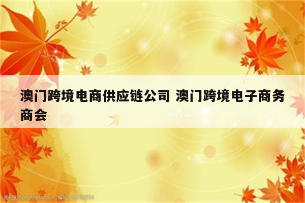 澳门跨境电商供应链公司 澳门跨境电子商务商会