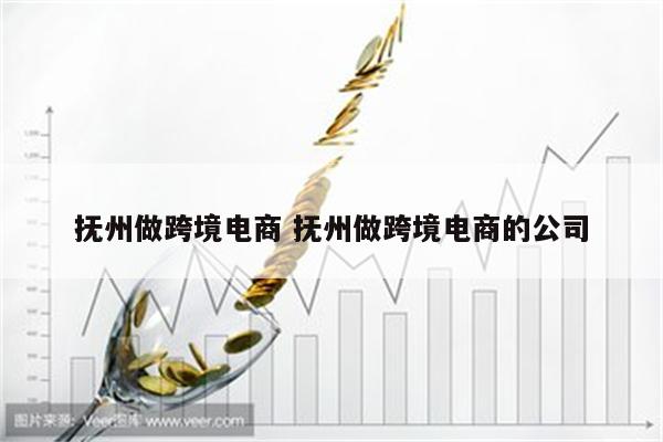 抚州做跨境电商 抚州做跨境电商的公司