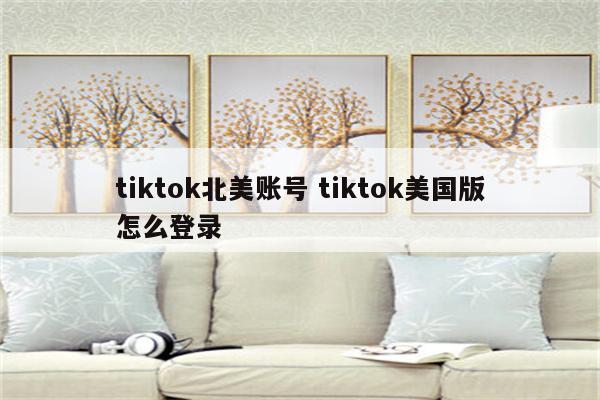 tiktok北美账号 tiktok美国版怎么登录