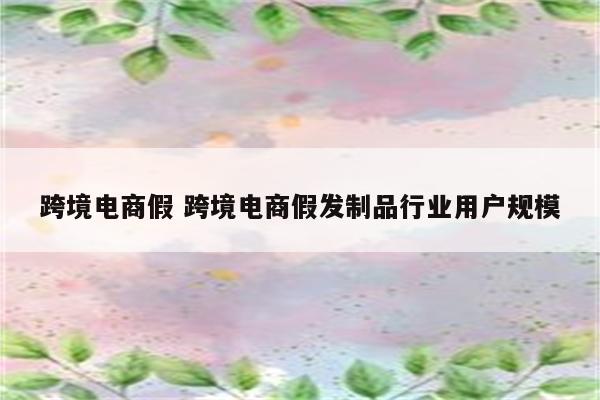 跨境电商假 跨境电商假发制品行业用户规模