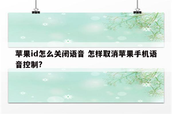 苹果id怎么关闭语音 怎样取消苹果手机语音控制?