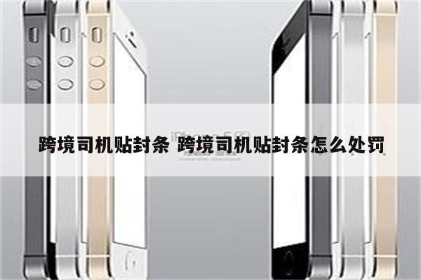 跨境司机贴封条 跨境司机贴封条怎么处罚