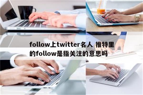 follow上twitter名人 推特里的follow是指关注的意思吗