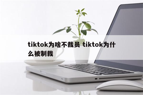 tiktok为啥不裁员 tiktok为什么被制裁