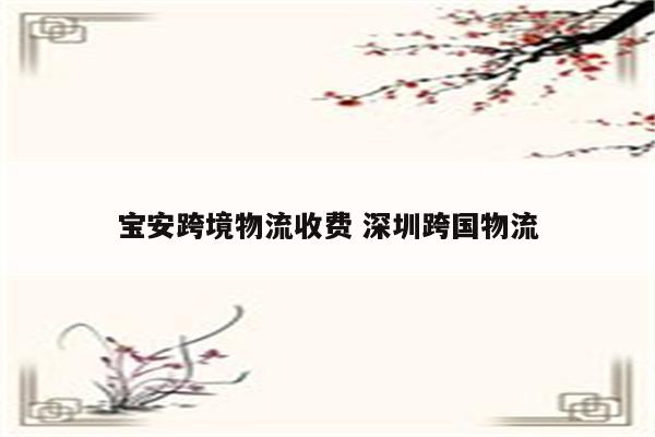 宝安跨境物流收费 深圳跨国物流