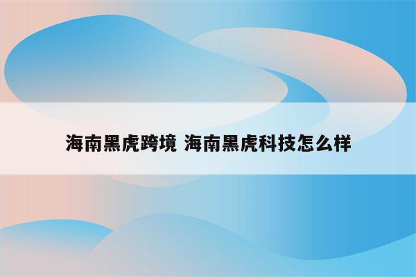 海南黑虎跨境 海南黑虎科技怎么样