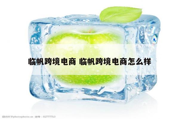 临帆跨境电商 临帆跨境电商怎么样