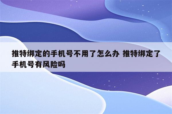推特绑定的手机号不用了怎么办 推特绑定了手机号有风险吗