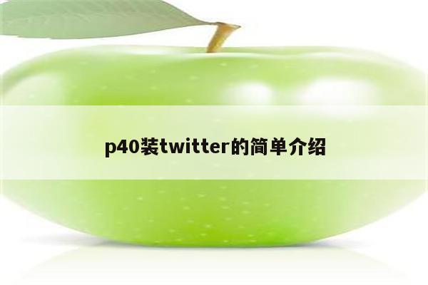 p40装twitter的简单介绍