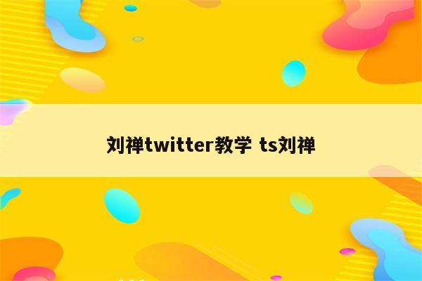 刘禅twitter教学 ts刘禅