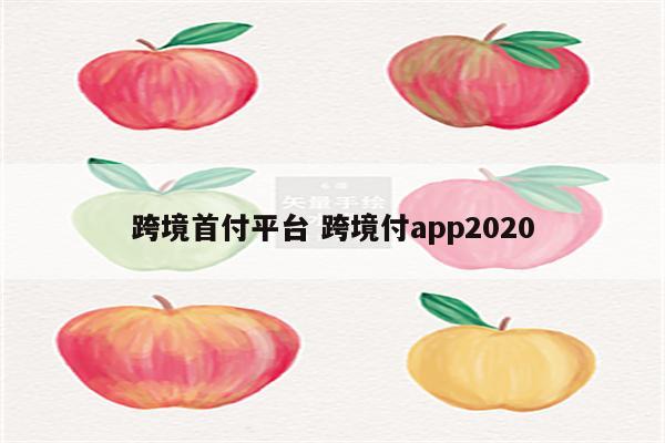 跨境首付平台 跨境付app2020