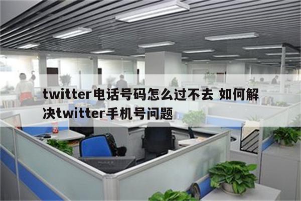 twitter电话号码怎么过不去 如何解决twitter手机号问题