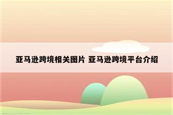 亚马逊跨境相关图片 亚马逊跨境平台介绍
