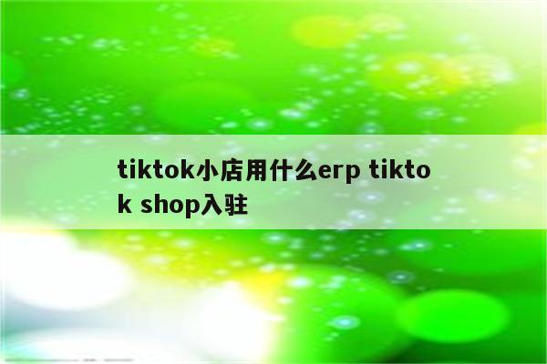 tiktok小店用什么erp tiktok shop入驻