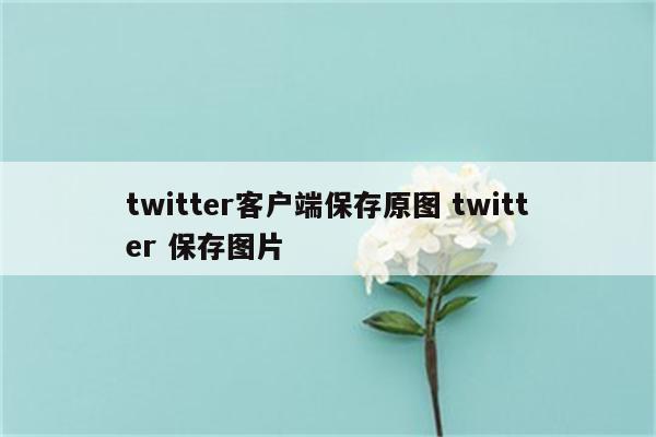 twitter客户端保存原图 twitter 保存图片